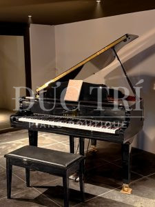 Thiết kế đàn Yamaha GB1KD