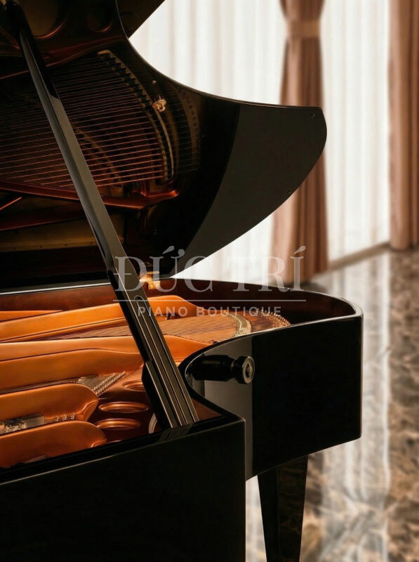 Vành đàn Grand Piano Bosendorfer 225 imperial