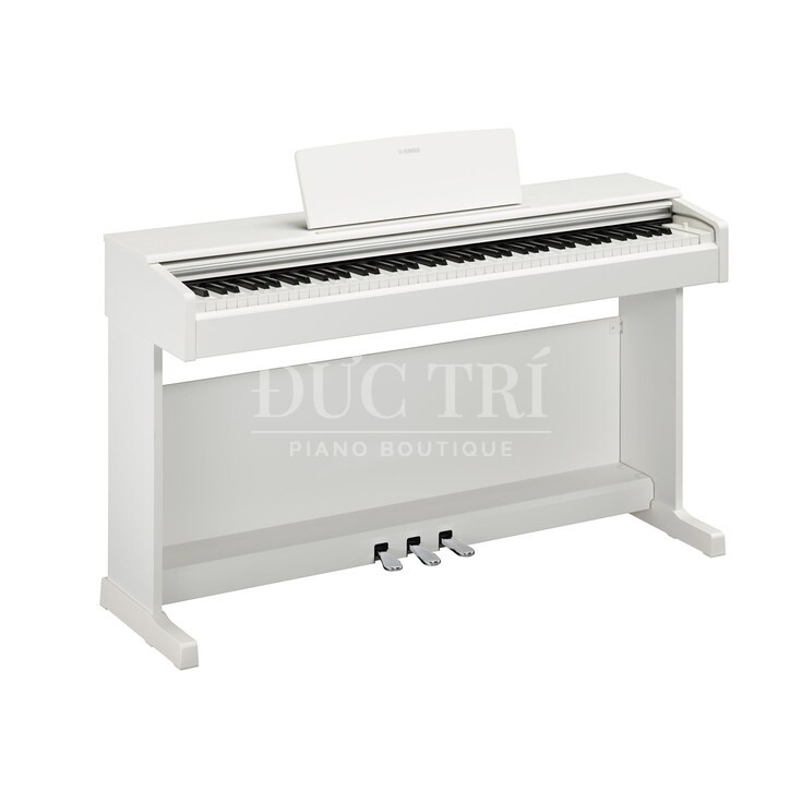YDP-145WH