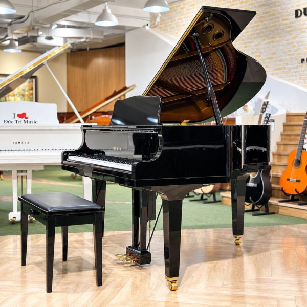Yamaha GB1K