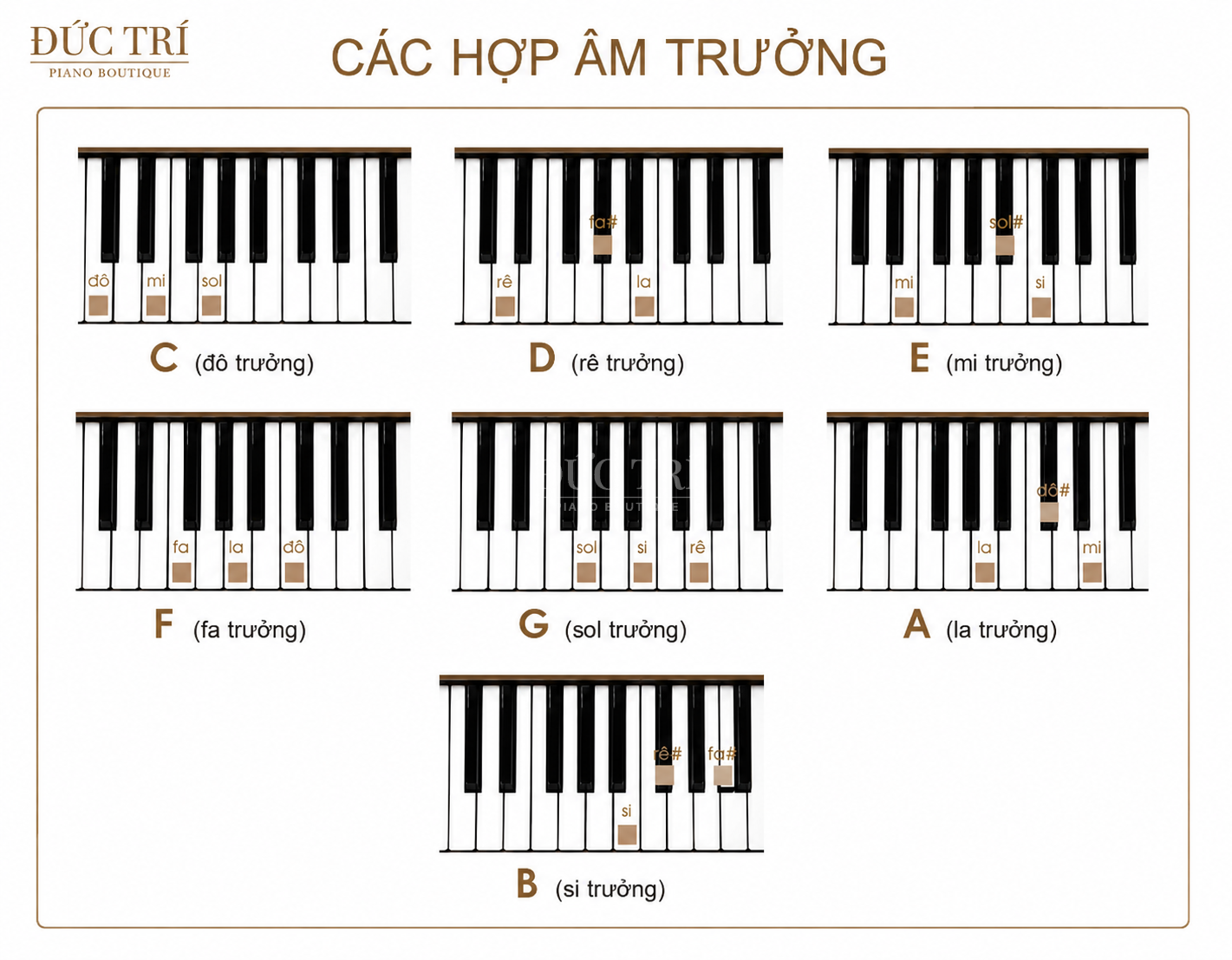 hop am truong piano hợp âm piano Bộ các hợp âm trưởng