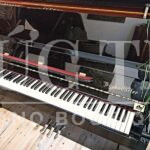 thiết kế của đàn Bösendorfer 120