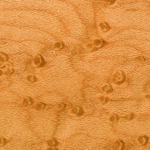 Bird's Eye Maple