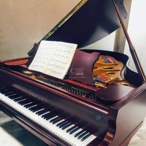 Bàn phím Đàn piano Apollo A30