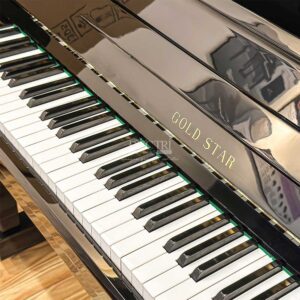 Bàn phím đàn piano giá rẻ Gold Star 120PE