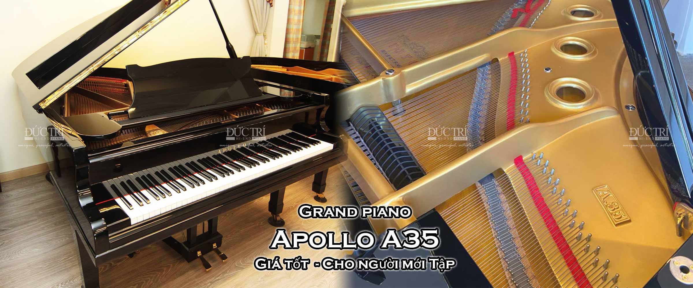 Đàn Piano Apollo A35 - Mẫu Grand piano Giá rẻ cho người mới tập piano