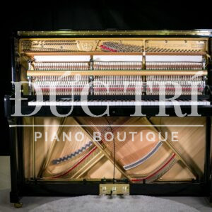 Bên trong đàn Wilh. Steinberg P-125E