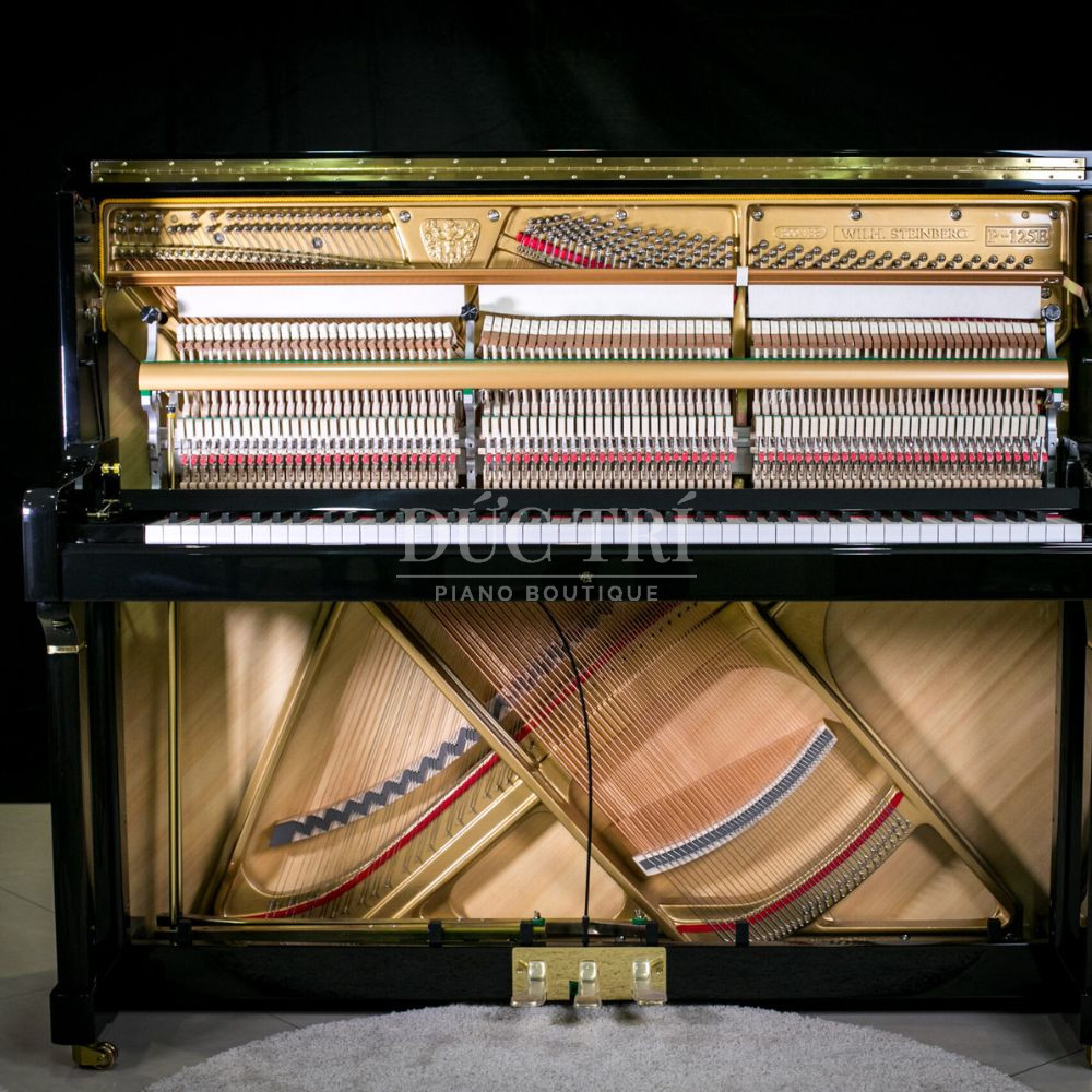Ben trong dan Wilh. Steinberg P 125E Steinberg P-125E Bên trong đàn Wilh. Steinberg P-125E