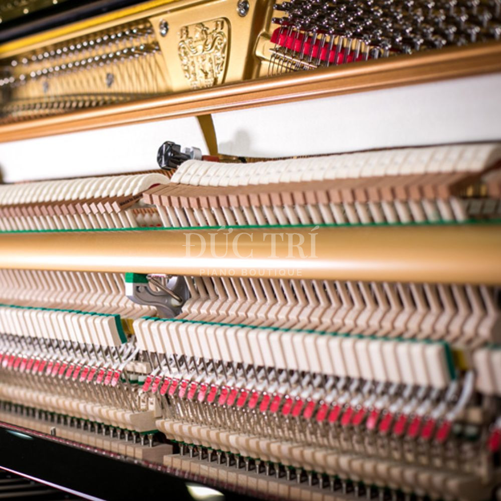 Bo may dan cua Wilh. Steinberg P 125E Steinberg P-125E Bộ máy đàn của Wilh. Steinberg P-125E