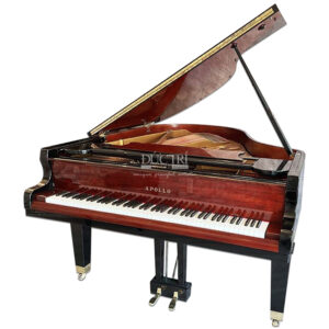 Đàn Piano Apollo A30WN Piano Đức Trí