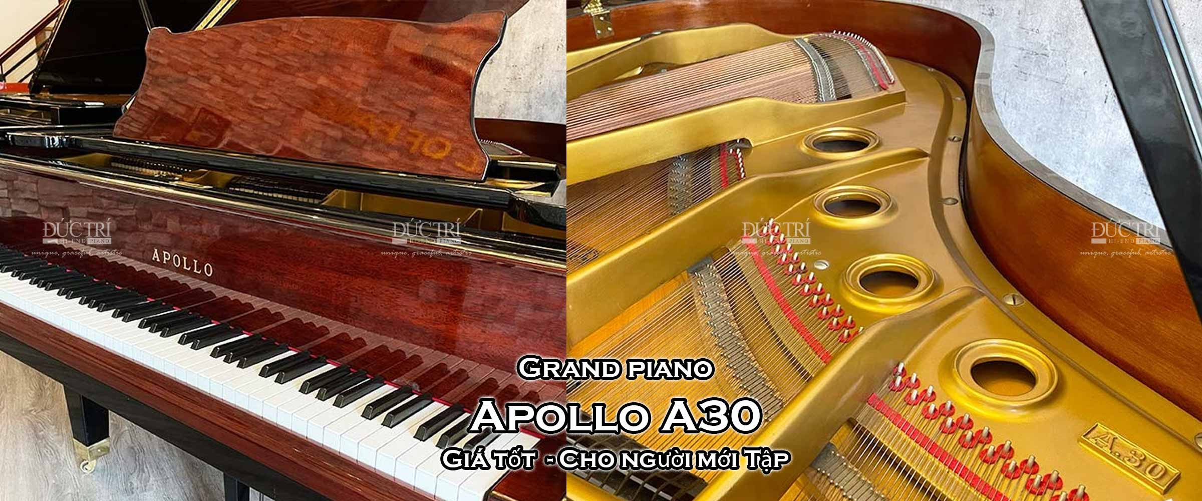 Đàn Piano Apollo A30 màu gỗ Piano Đức Trí