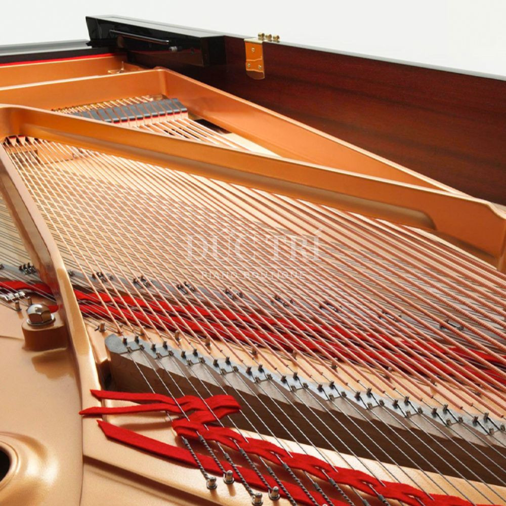 Day dan Yamaha S6X yamaha s6x Dây đàn Yamaha S6X