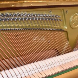 Dây đàn Yamaha YU10MHC