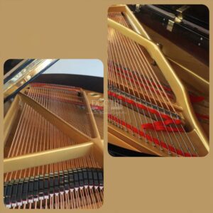 Dây đàn piano Apollo A35