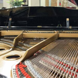 Dây đàn sản xuất thủ công của Kawai GS30