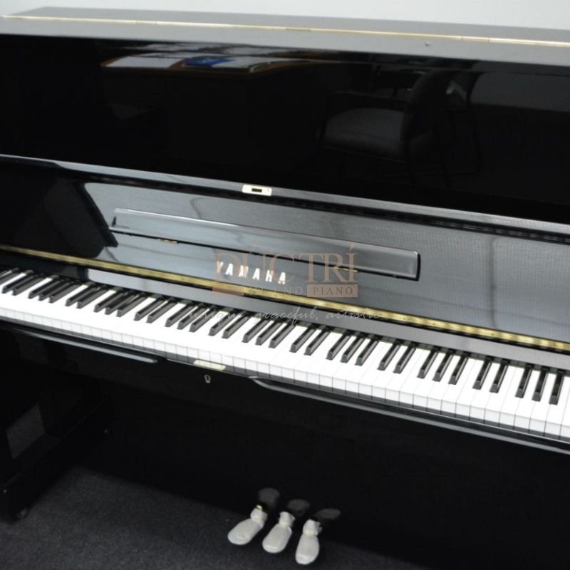 Phím đàn Yamaha SX101