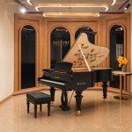 Góc nhìn nghiêng đàn piano Bösendorfer Dragonfly trong phòng vòm tối giản
