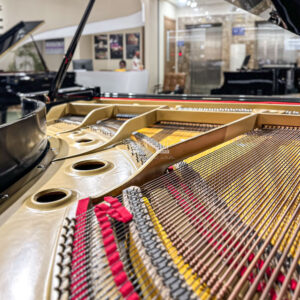 Grand piano Eterna G430 là thương hiệu con của Yamaha