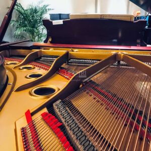 Khung Đàn piano Apollo A30 Piano Đức Trí