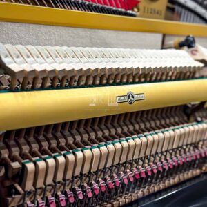 Máy đàn piano Apollo A5 Special