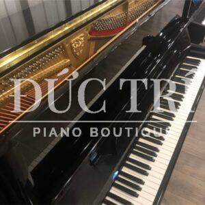 Phím đàn trên đàn Wilh. Steinberg P-125E