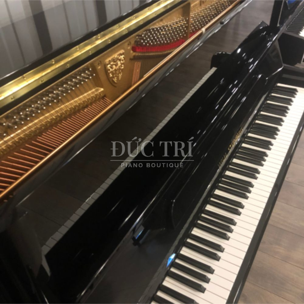 Phim dan tren dan Wilh. Steinberg P 125E Steinberg P-125E Phím đàn trên đàn Wilh. Steinberg P-125E
