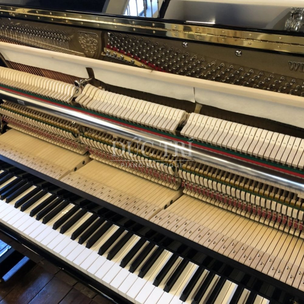 Soundboard Day dan Steinberg S-125 Soundboard & Dây đàn