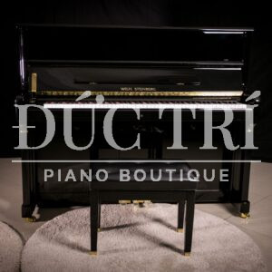 Thiết kế đàn Wilh. Steinberg P-125E