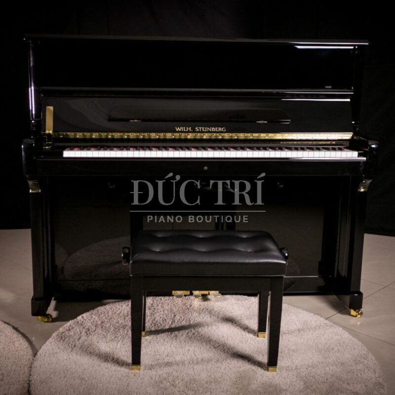 Thiết kế đàn Wilh. Steinberg P-125E