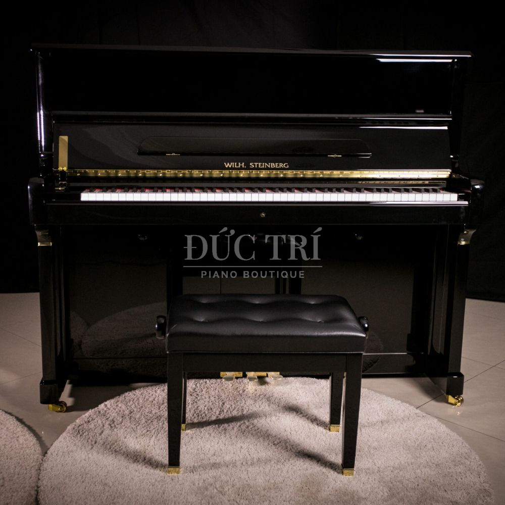 Thiet ke dan Wilh. Steinberg P 125E Steinberg P-125E Thiết kế đàn Wilh. Steinberg P-125E