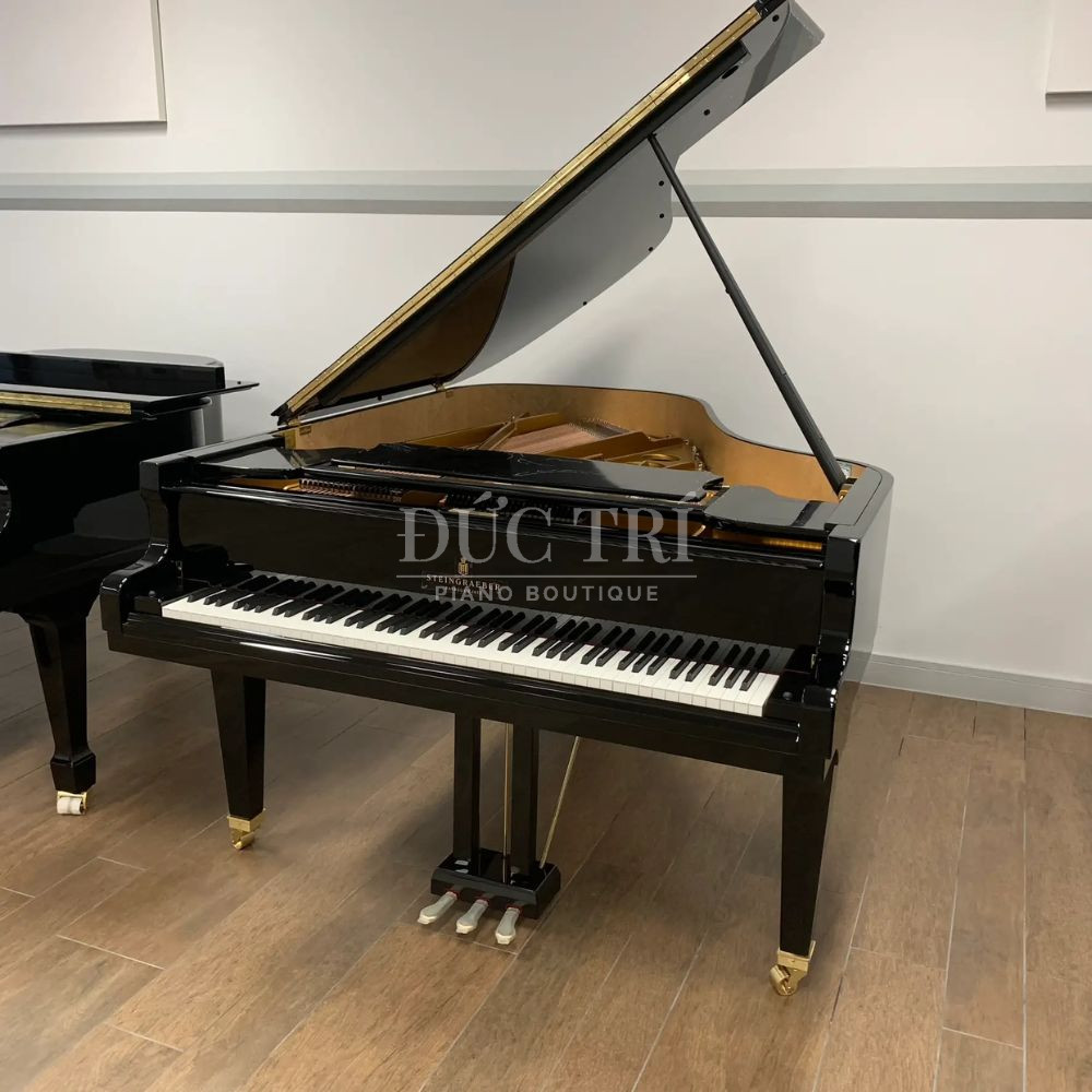 Thiet ke ngoai hinh co dien va uy nghi STEINBERG S-212 Thiết kế ngoại hình cổ điển và uy nghi