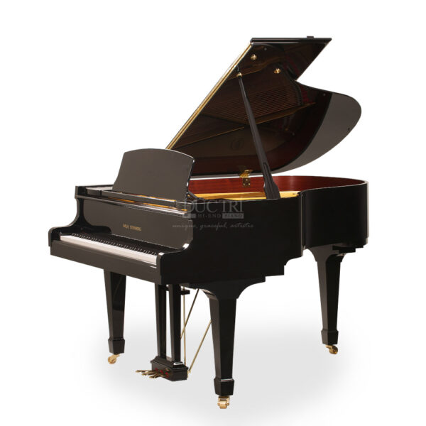 Đàn Piano Wilh Steinberg P-165 Grand piano