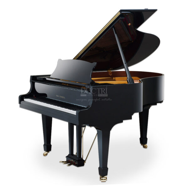 Đàn Piano Wilh Steinberg P-178 Mới 100% New full box