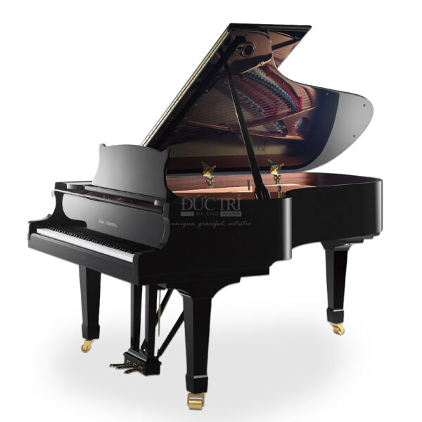 ĐÀN PIANO WILH STEINBERG S212