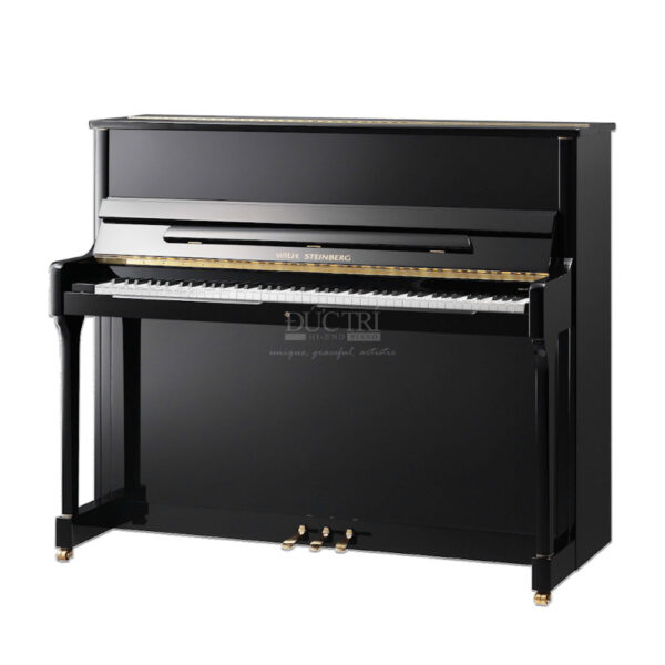 Đàn Piano Wilh Steinberg S-117