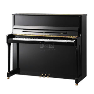 Đàn Piano Wilh Steinberg S-125