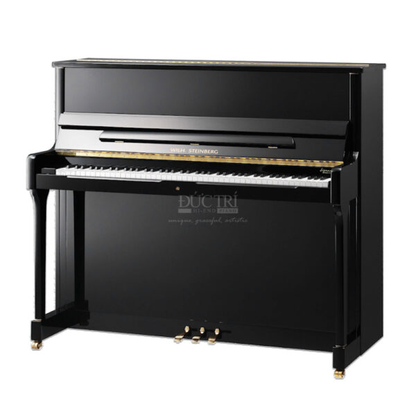 Đàn Piano Wilh Steinberg S-125
