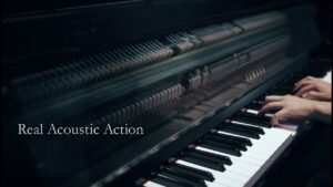 Phím đàn Yamaha AvantGrand N3X