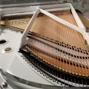 Kawai trong suốt cr40