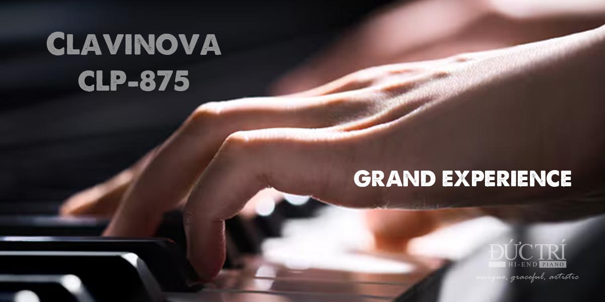 Bàn phím GRAND EXPERIENCE CLP-875 piano đức trí