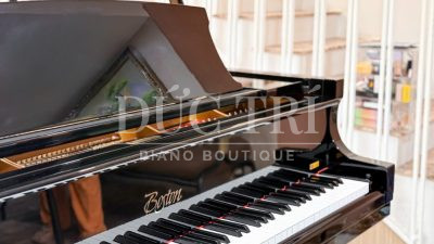 Mặt bên đàn Boston Gp178