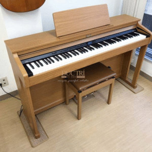 Roland HP-505 nhìn tổng quát