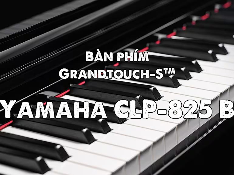 bàn phím Grandtouch-s của Yamaha clp-825B