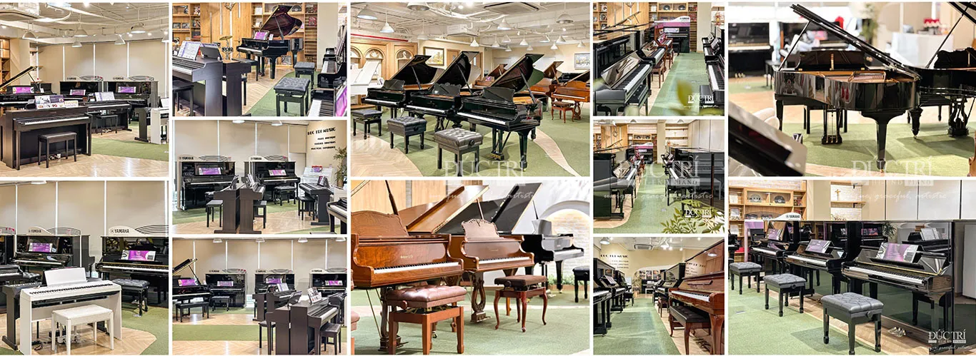 Showroom Piano Đức Trí