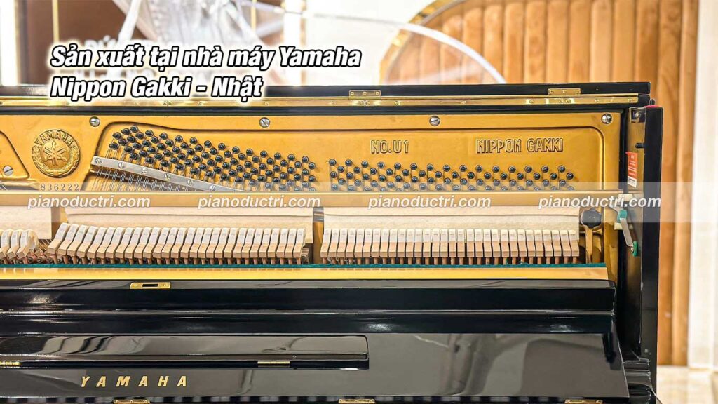 sản xuất tại nhà máy yamaha nippon gakki