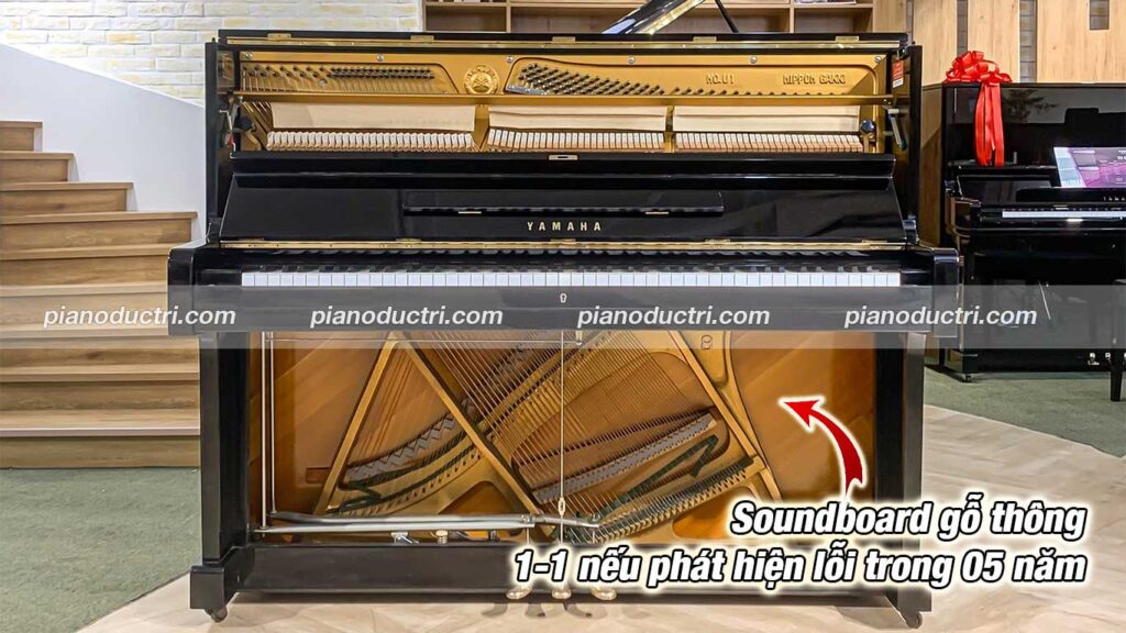 soundboard gỗ thông bảo hành 05 năm