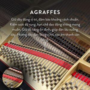 Đàn Grand Piano Yamaha C5 Cao Cấp Tại Đức Trí Music