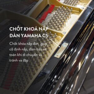 Đàn Grand Piano Yamaha C5 Cao Cấp Tại Đức Trí Music