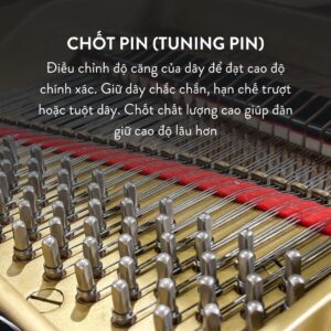 Đàn Grand Piano Yamaha C5 Cao Cấp Tại Đức Trí Music