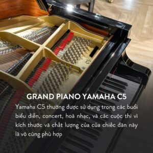 Đàn Grand Piano Yamaha C5 Cao Cấp Tại Đức Trí Music